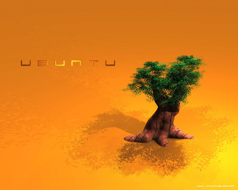 lone_ubuntu_tree.jpg