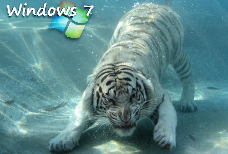 Only Windows 7