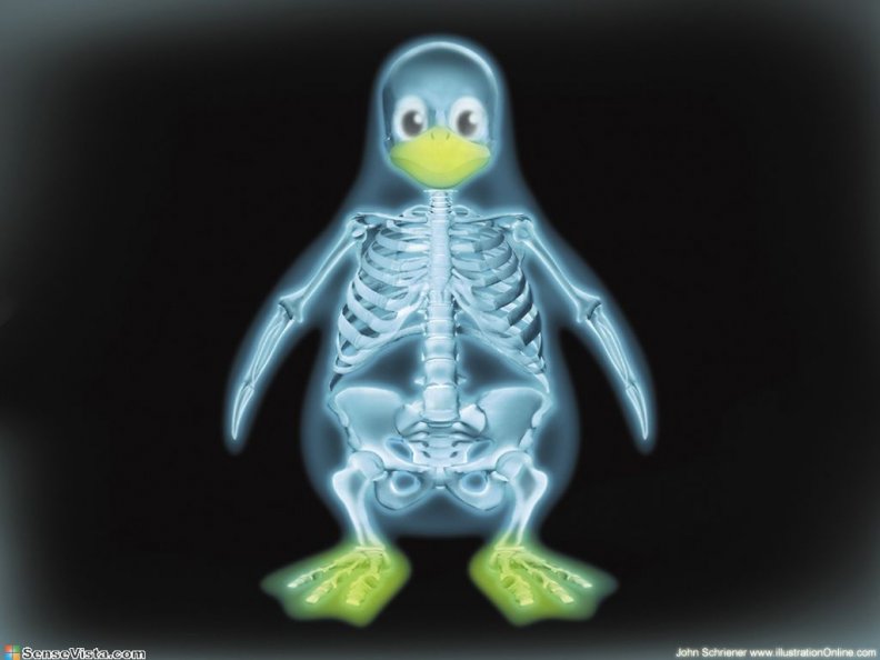 tux_x_ray_linux_skeleton.jpg