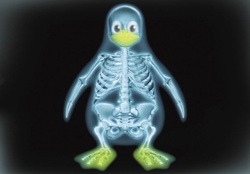 Tux X_Ray _ Linux Skeleton
