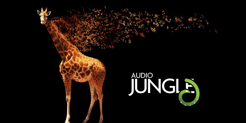 audio_jungle.jpg