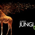 Audio Jungle
