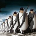 Penguin Army