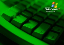 Windows XP Professional Green