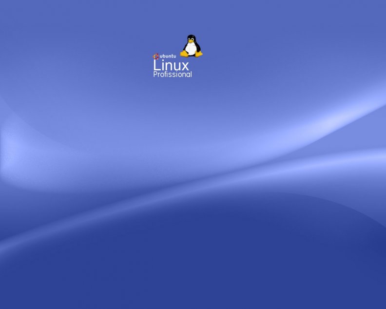 Ubuntu Linux Professional