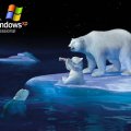 WinXP Pro _ Cola Bears