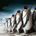 army of linux users