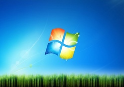 Windows 7 grass