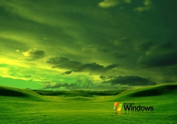 green windows