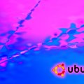 Ubuntu P!nk
