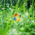 Windows XP Wet Grass