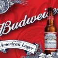 Budweiser bottle and background