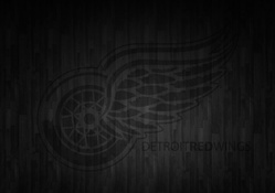 detroit red wings