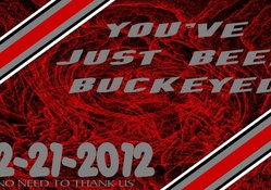 YOU'VE JUST BEEN BUCKEYED 12_21_2012