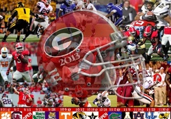 Georgia Bulldogs 2013 Football Schedule