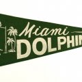 Miami Dolphins NFL football year 1966