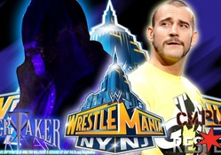 undertaker vs cm punk