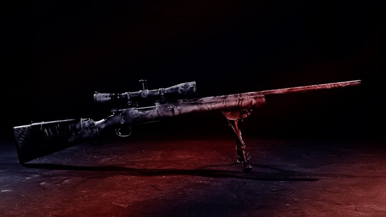 us_army_m21_sniper_rifle.jpg