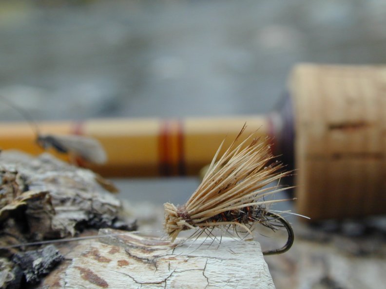Fly Fishing Wallpapers  Top Free Fly Fishing Backgrounds  WallpaperAccess