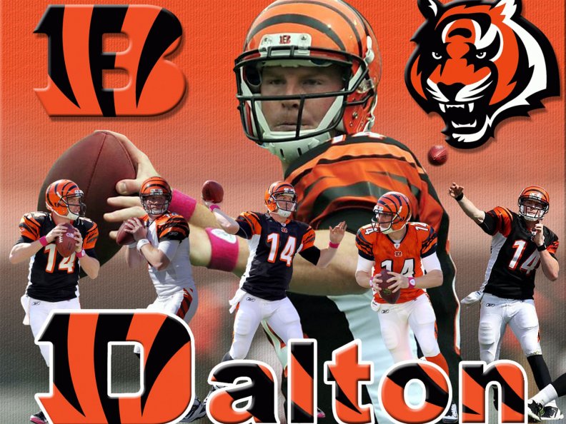 Andy Dalton: Cincinnati Bengals quarterback