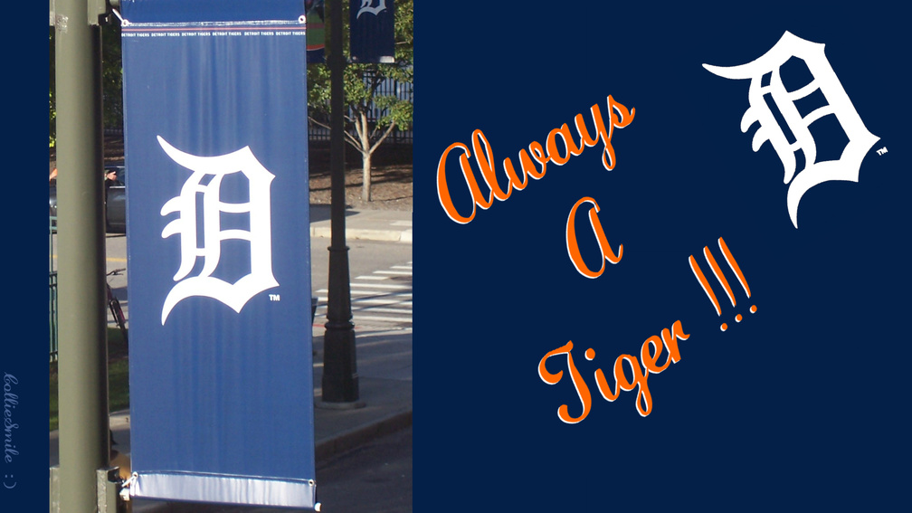 Detroit Tigers _ 2013 MLB Central Division Winners