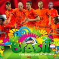 NETHERLANDS  WORLD CUP 2014 WALLPAPER