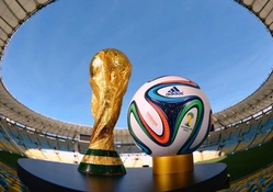 2014 FIFA World Cup, Brazil