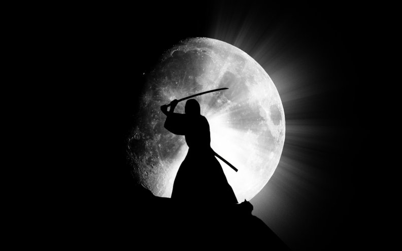 samurai_by_moonlight.jpg