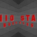 OHIO STATE BUCKEYES BY BUCKS7T2