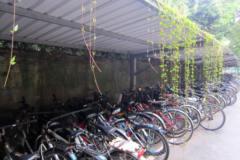 bicycle_shed_in_the_university.jpg