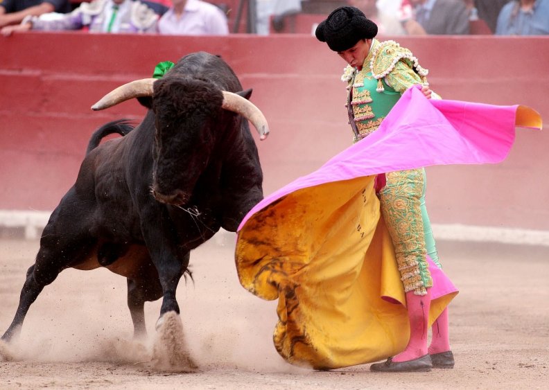 miguel_angel_perera_bullfighter_mexico.jpg