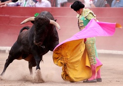 Miguel Angel Perera Bullfighter, Mexico