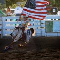 American Rodeo Cowgirl