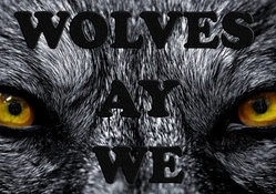 Wolves Ay We
