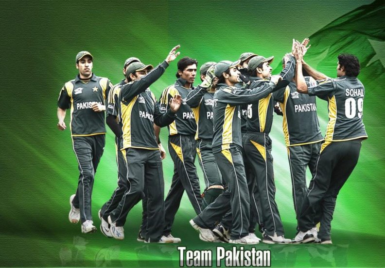 good_luck_pakistan_for_t20_world_cup_2012.jpg