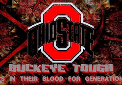 BUCKEYE TOUGH IT'S IN THEIR BLOOD FOR GENERATIONS