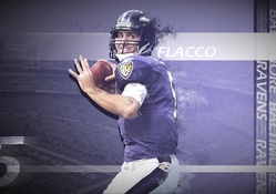 Joe Flaco Baltimore Ravens qb
