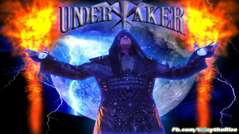 undertaker 2013,
