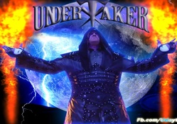 undertaker 2013,