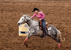 Cowgirl Barrel Racing