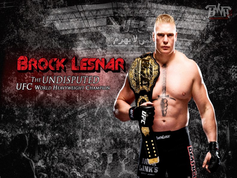 ufc_heavyweight_champ_brock_lesnar.jpg