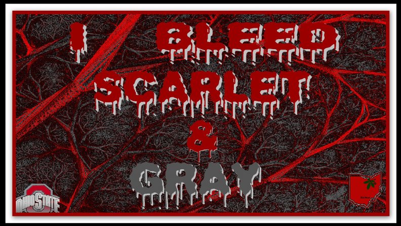 i_bleed_scarlet_amp_gray.jpg