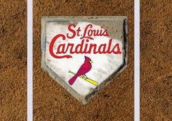 St louis Cardinals Baseball