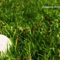 Golf ball _