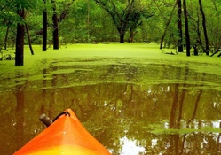 Canoe Adventure On Marsh Lands