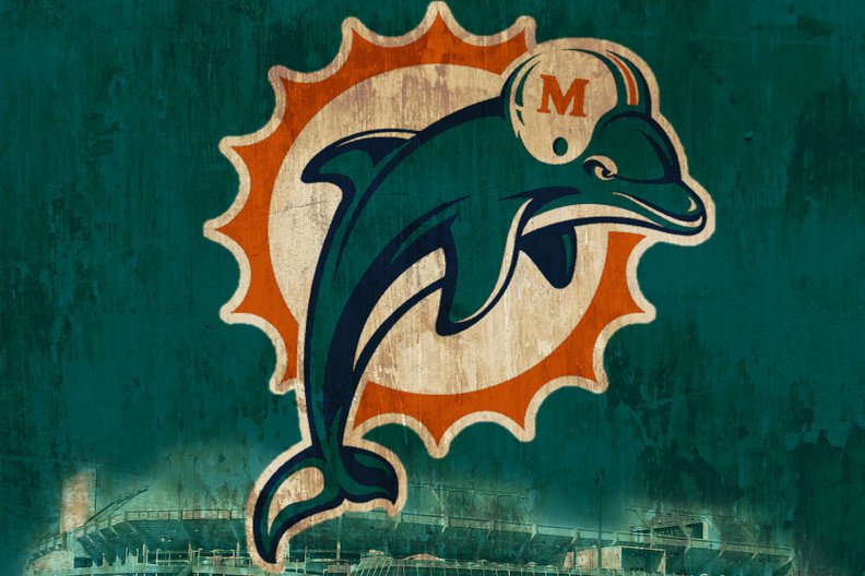 Dolphins Rough