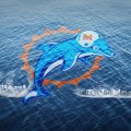 Miami Dolphins Ocean