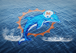Miami Dolphins Ocean