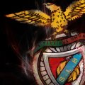 benfica flame