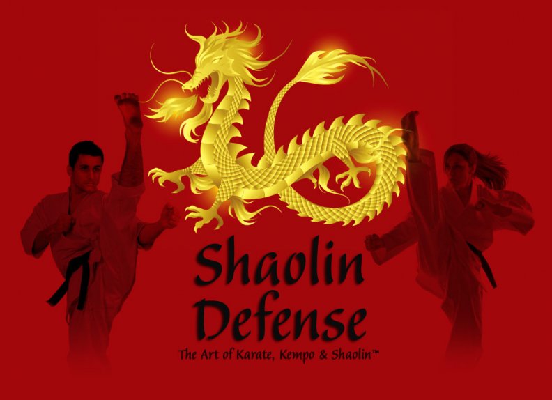shaolin_defense.jpg